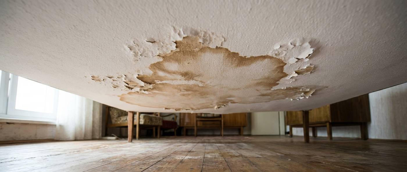 Water stain spreading across an interior ceiling below a roof leak